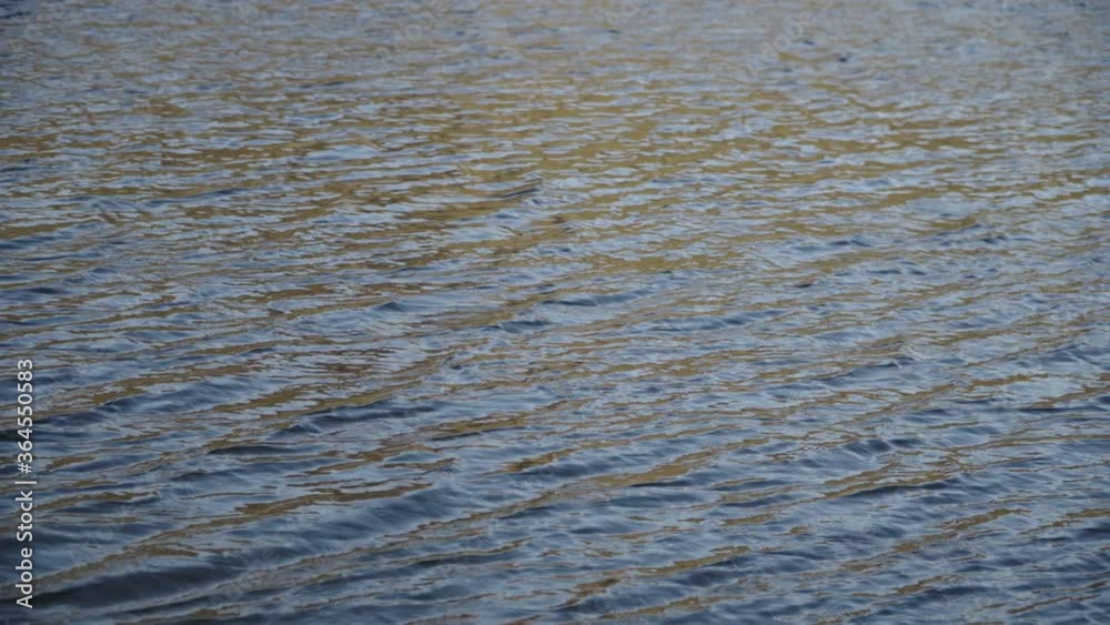 Picturesque View Of Shallow River Flowing Peacefully - close up Picturesque View Of Shallow River Flowing Peacefully - close up
