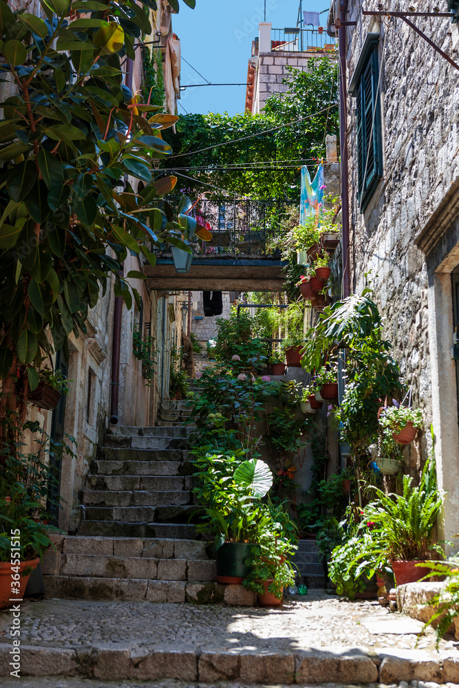 Ulica od Domina, a narrow, steep, flower-filled lane in stari grad (old town), Dubrovnik, Croatia