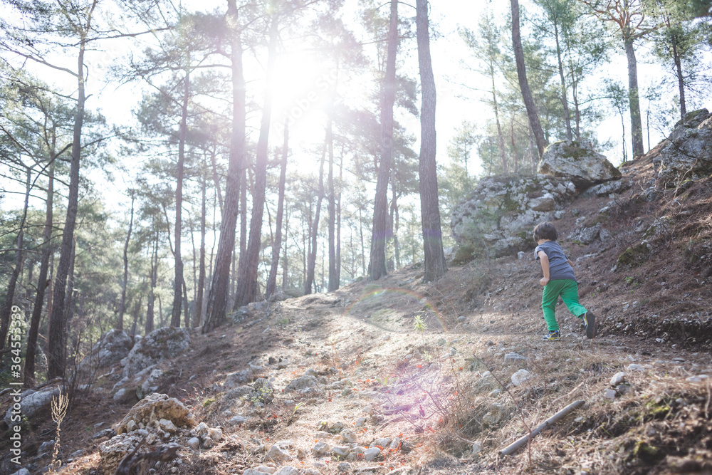 custom made wallpaper toronto digitalA boy runs along a mountain path.