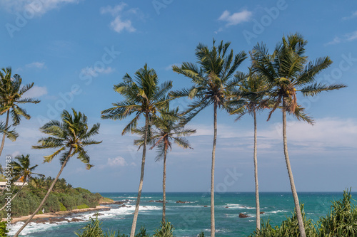 Tangalle - palm trees on the beach © Guillaume