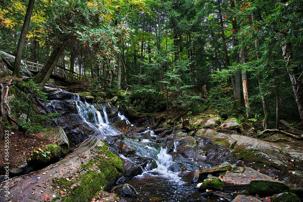 Forest autumn landscape. Beautiful stream In the forest with autumn leaf color. Stones with moss In the blurred water. Creek and wood bridge... Forest autumn landscape. Beautiful stream In the forest with autumn leaf color. Stones with moss In the blurred water. Creek and wood bridge...
