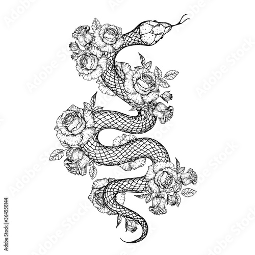 Snake and roses illustration. Vector illustration. Hand drawn illustration for t-shirt print, fabric and other uses
