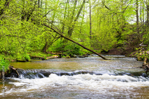 Szumy na Tanwi (Cascades on Tanew River) Roztocze (Roztochia), Roztoczanski Park  Narodowy (Roztocze National Park), Poland photo