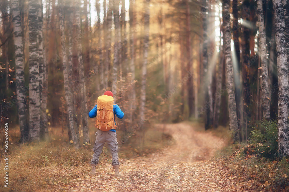 autumn hike with a backpack, sun rays, autumn landscape, a man in the forest glare of light sunset