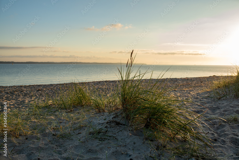 Ein schöner Morgen am leeren Strand mit Dünen Ein schöner Morgen am leeren Strand mit Dünen