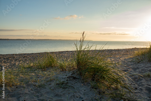 Ein schöner Morgen am leeren Strand mit Dünen