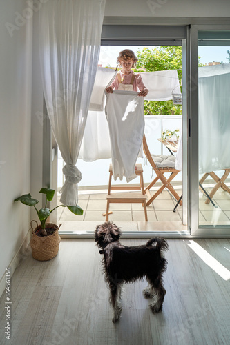 Little boy standing on wooden stepladder on sunny balcony while hanging laundry on rope with black dog at home photo