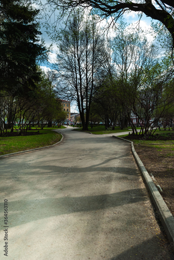 The park area. Asphalt path with fork in the city park. Lawns with green grass and trees, clear sunny day