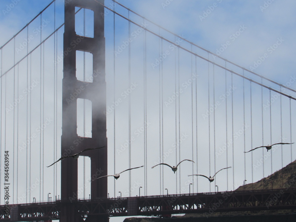 Fototapeta premium GOLDEN GATE