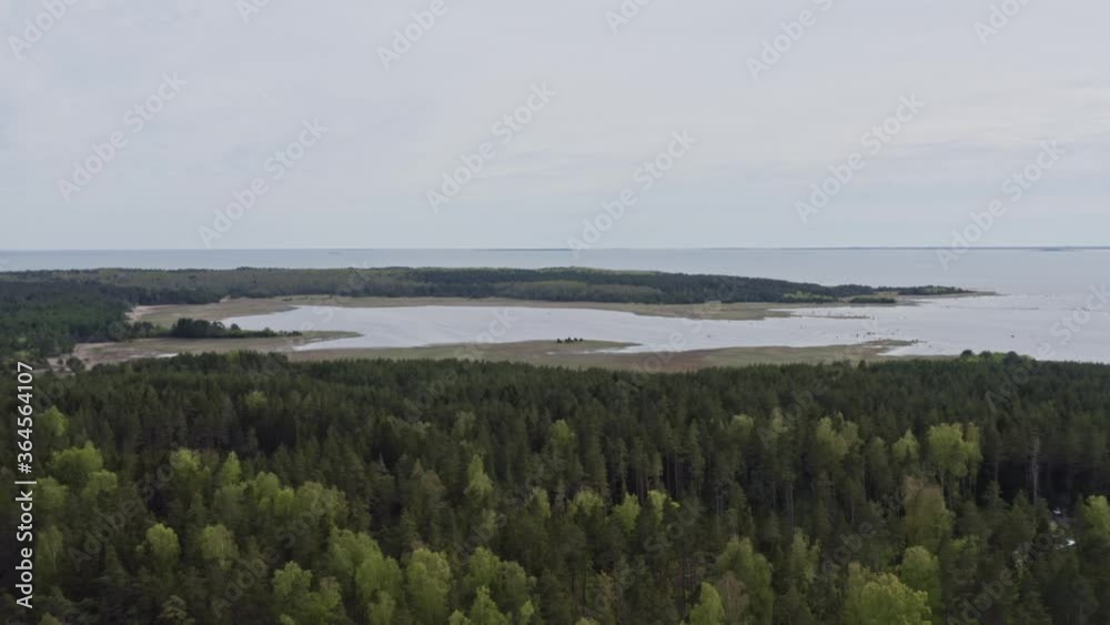 Flying over a forest towards a bay during a cloudy day Flying over a forest towards a bay during a cloudy day