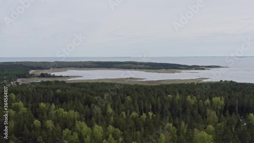 Wallpaper Mural Flying over a forest towards a bay during a cloudy day Torontodigital.ca