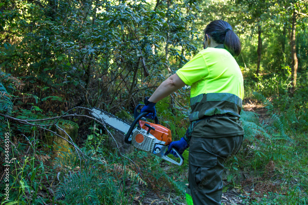 Naklejka premium galicia, spain july 10, 2020: forest woman working in the bush with chainsaw