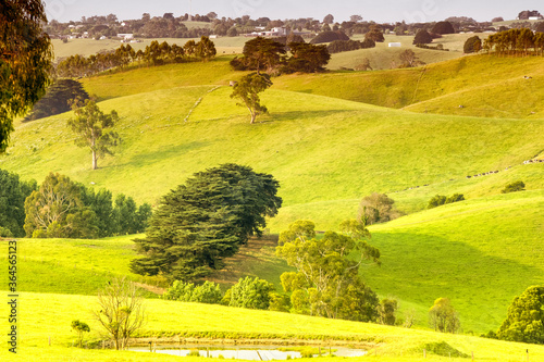 Beautiful countryside hills of Victoria - Australia. Landscape near Bena