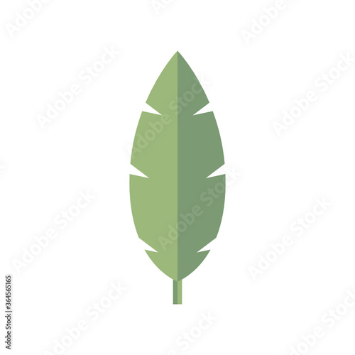 Palm Leaf Plant, Palm Tree Leaf Icon Vector Illustration Background