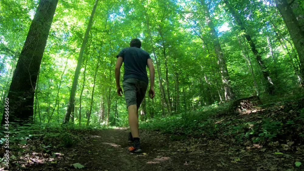 Light slow motion shot of male hiker walking down a trail in the forest (rear) Light slow motion shot of male hiker walking down a trail in the forest (rear)