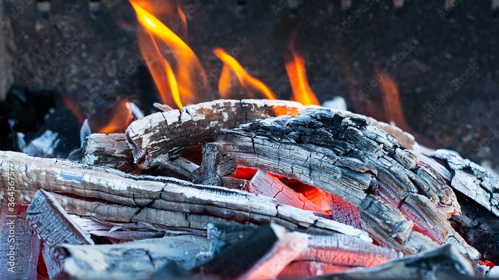 cooking meat on coals. Barbecue with firewood cooking meat on coals. Barbecue with firewood