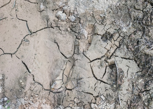 Cracked ground background. Drought ground pattern