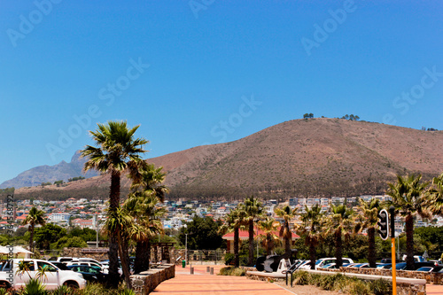 Green Point Park, mountain panorama in Cape Town, South Africa.