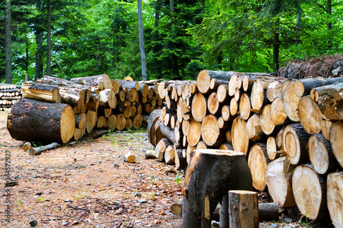 Fototapeta Naklejka Na Ścianę i Meble -  Stack of firewood in mountains waiting for winter. Pieniny mountains, Poland