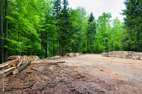 Fototapeta Naklejka Na Ścianę i Meble -  Stack of firewood in mountains waiting for winter. Pieniny mountains, Poland
