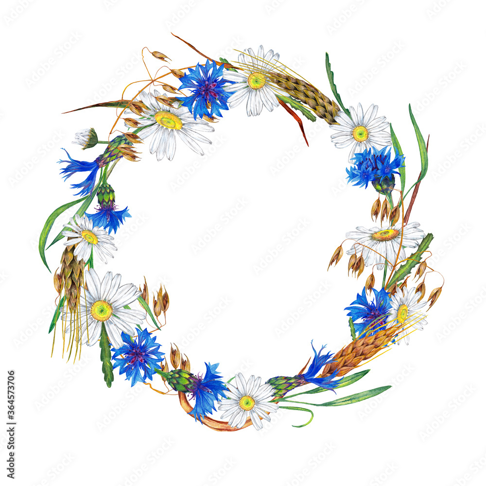 Obraz Midsummer meadow wildflowers and cereals. Round frame of chamomile and cornflower with wheat and oat corp. Watercolor hand painted isolated elements on white background.