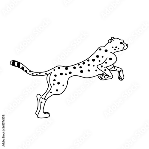 Jumping cheetah vector icon. Hand drawn simple illustration of an africa animal.