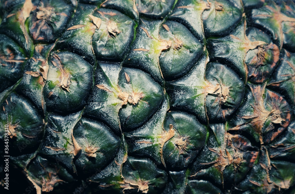 Closeup of Pineapple Fruit Skin in Horizontal Orientation, Perfect for Wallpaper