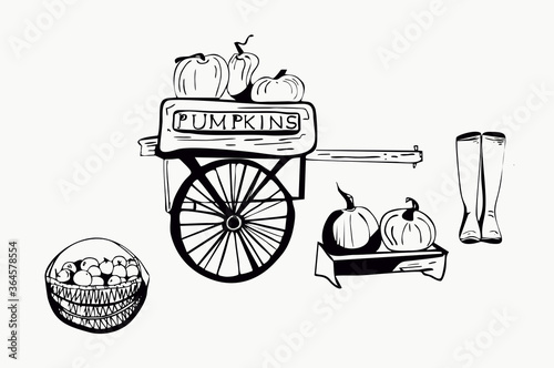 Autumn harvest ink graphic.Wooden cart with pumpkins.A box of squashes and a wicker basket full of apples.Rubber boots.Hand drawn vector illustration in engraving style.Product packaging,labels