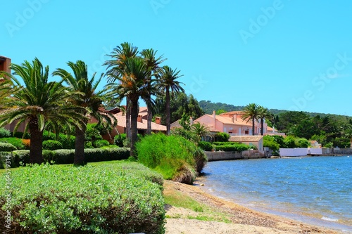 Landscape of Porquerolles island, France