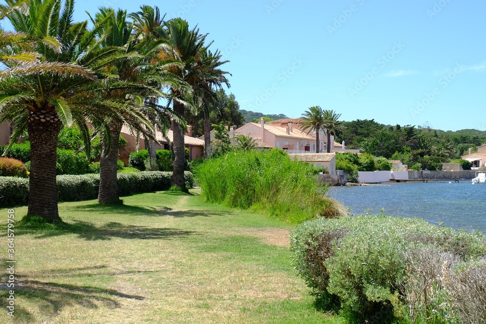 Fototapeta premium Porquerolles Island, France
