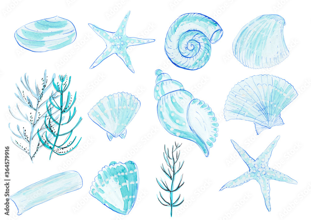 Turquoise watercolor illustrations of sea life elements. Light blue seashells, seaweeds and starfish.