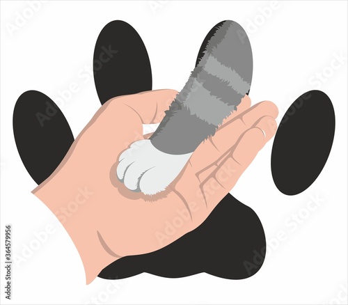 The cat gullibly put his paw on the open palm of a man. A cat's foot sticks out of a cat's paw footprint. Gray tabby cat with a white paw. Vector flat design
