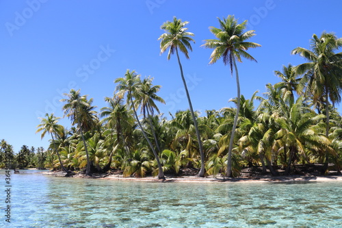 Plage paradisiaque    Taha a  Polyn  sie fran  aise