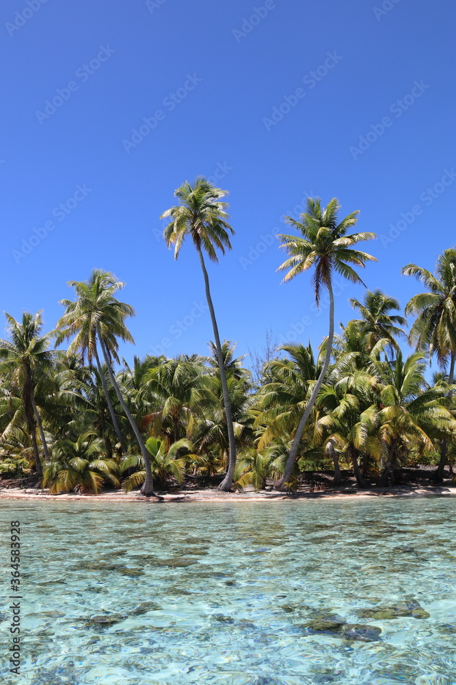 Obraz premium Lagon turquoise et plage paradisiaque à Taha'a, Polynésie française