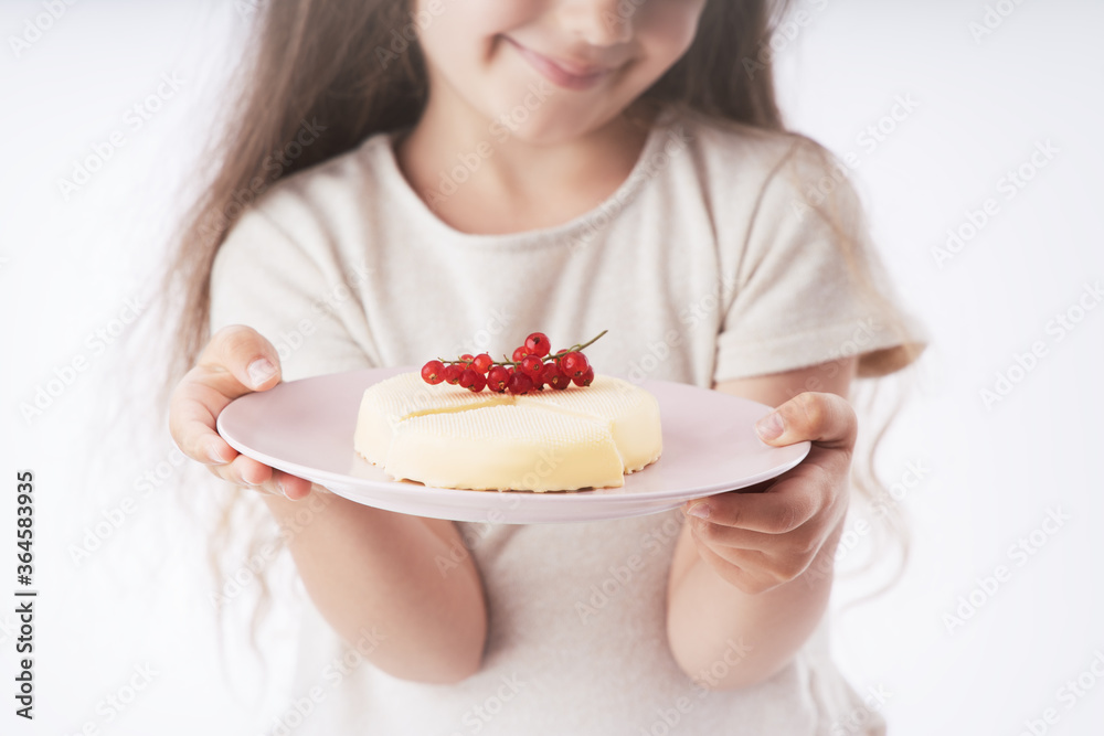 Homemade tasty cheesecake with chocolate in a plate isolated Homemade tasty cheesecake with chocolate in a plate isolated