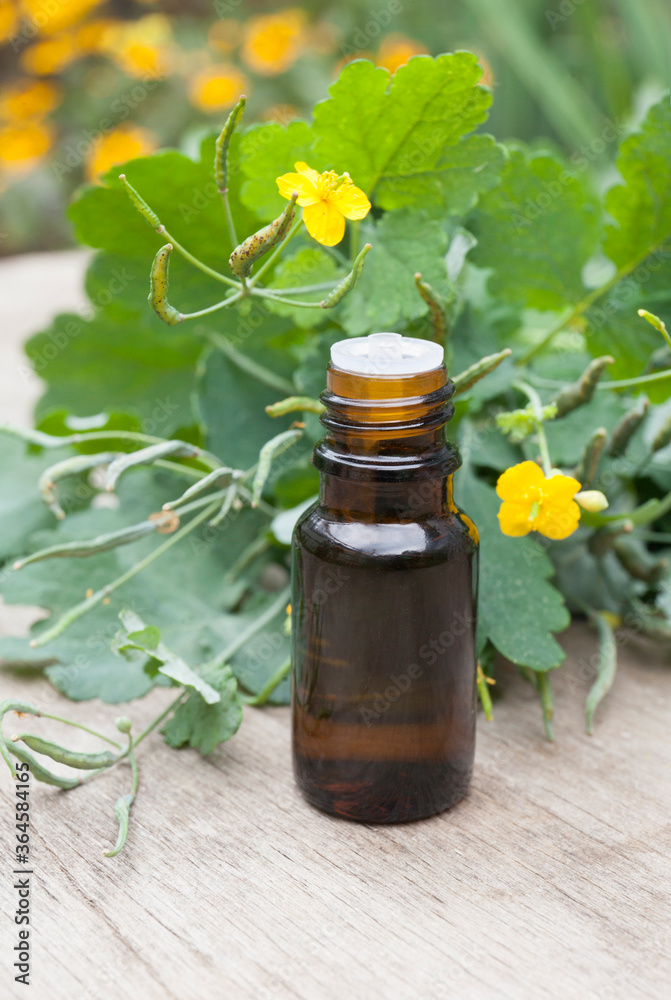 Celandine essential oil container with Celandine flower and leaves on wooden background, Celandine essential oil container with Celandine flower and leaves on wooden background,
