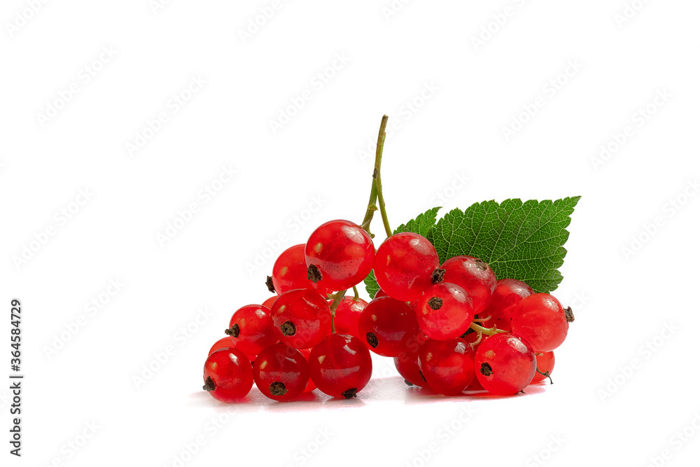 ripe and juicy red currant with green leaflet on a white background ripe and juicy red currant with green leaflet on a white background