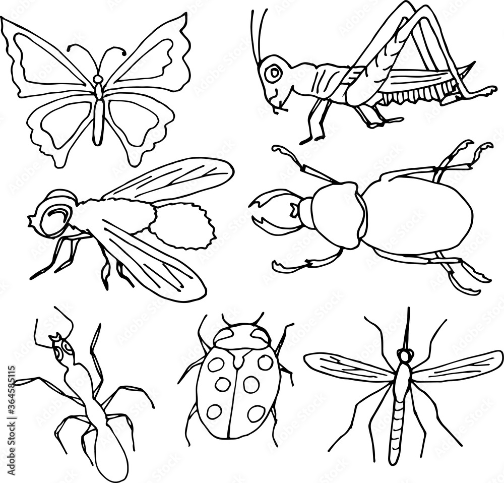 Isolated INSECTS, hand drawn, black and white, Vector EPS 10. Use for ...