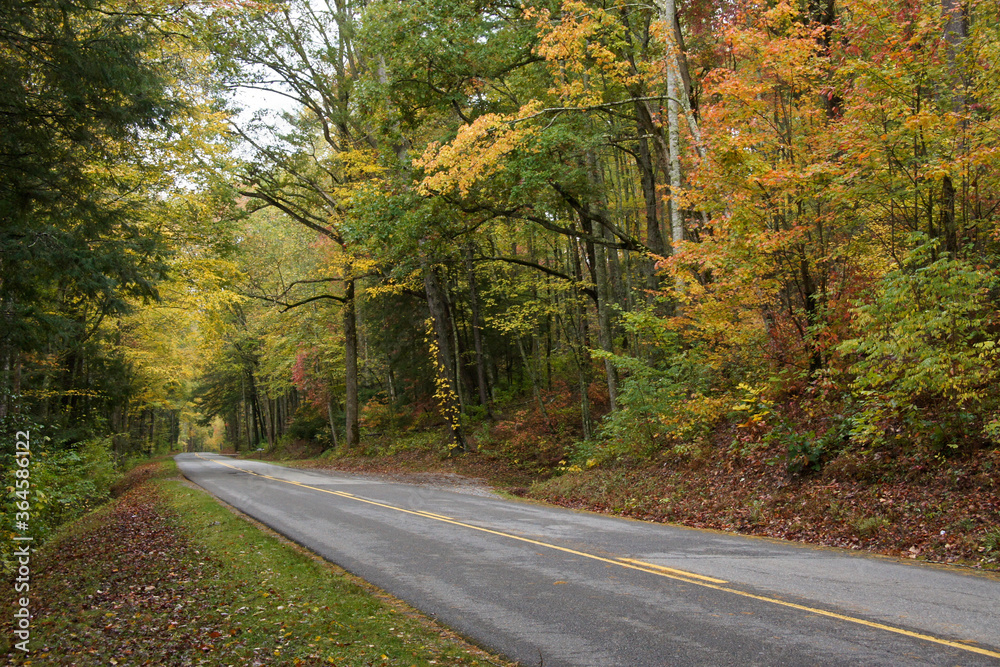 Autumn foliage along Little River Road, Great Smoky Mountains National Park, Tennessee Autumn foliage along Little River Road, Great Smoky Mountains National Park, Tennessee