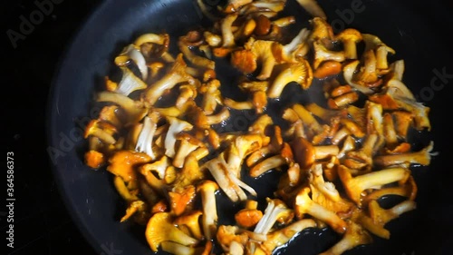 Сhanterelle mushrooms are fried in a pan. Wild mushroom dishes, home cooking photo