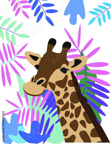 Vector illustration of giraffe  on tropical background