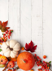 Festive autumn decor from pumpkins, berries and leaves on a white  wooden background. Concept of Thanksgiving day or Halloween. Flat lay autumn composition with copy space.