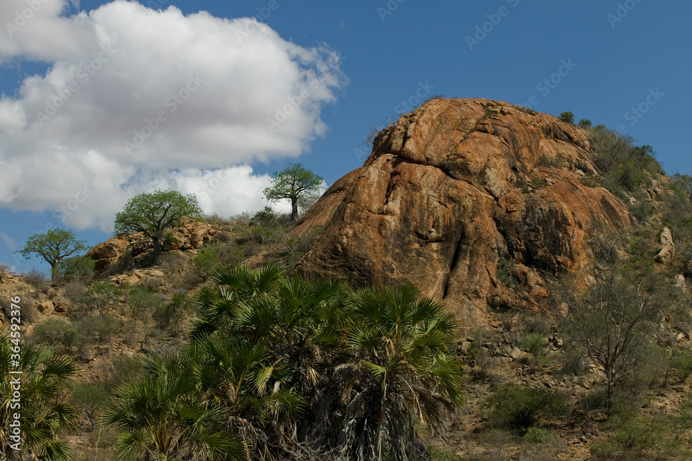 Desert Hill, Tsavo West National Park, Kenya, Africa