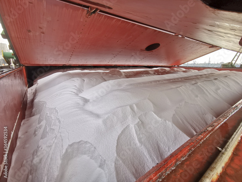 View of stowage of urea in bulk inside ship's cargo hold just after completion of loading