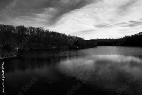 Lake with Forest Black and White
