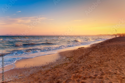 Fototapeta Naklejka Na Ścianę i Meble -  sunset on sandy beach during windy weather, waves