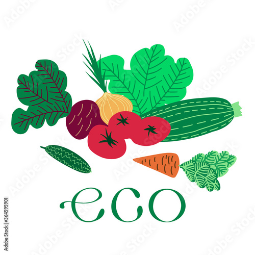 Isolated vector design of ecological tomatoes  cucumbers  salad and other vegetables.