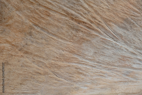 porous texture with lines of yellow color