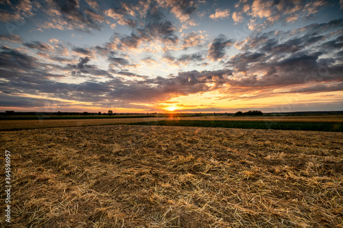 Fototapet Beautiful summer sunset over fields