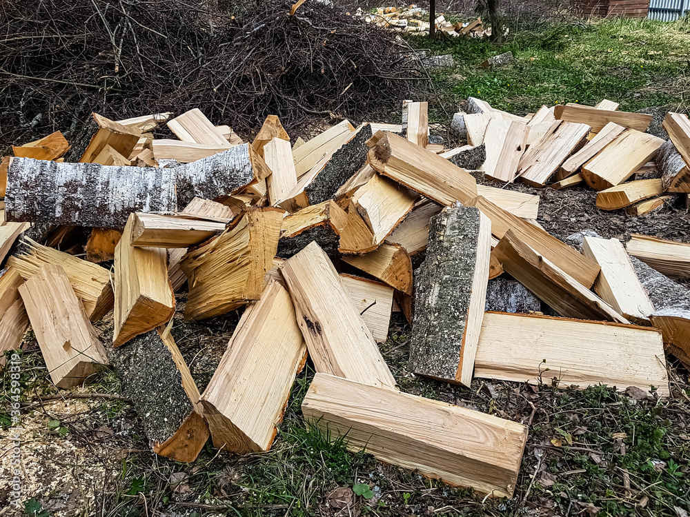 Birch wood is lying in the forest and waiting to be burned in the stove. Birch wood is lying in the forest and waiting to be burned in the stove.